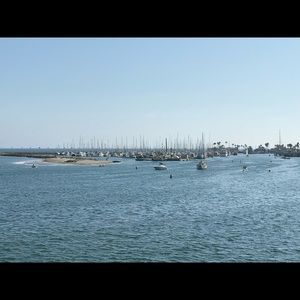 Meet your Posher, Misty